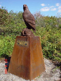 hawk statues