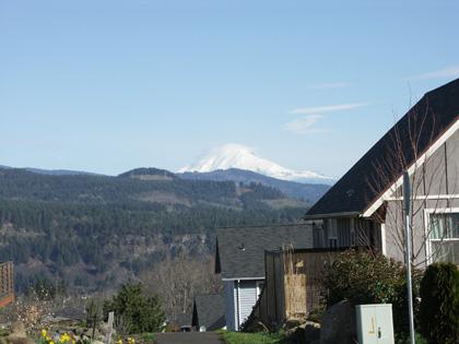 Mt. Adams