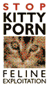 Kitty Porn