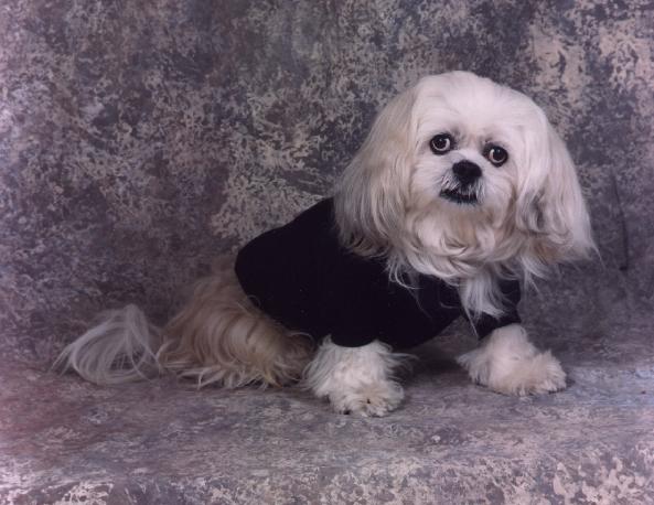 He's wearing a Harley-Davidson sweater