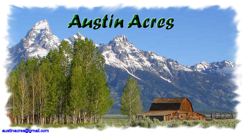 Austin Acres