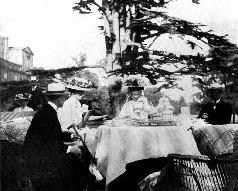 Tea with Alex