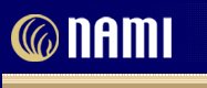 NAMI Org