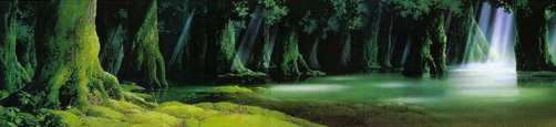 Forest