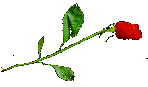 RosebleedingLeft