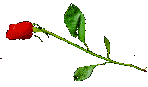 RosebleedingRight
