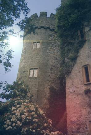 Tessian Palace Tower