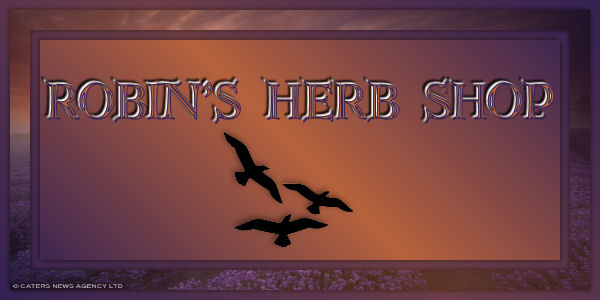 Robin's Herb Shop