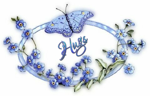 blueflowersnbutterfly-hugs-judy.jpg